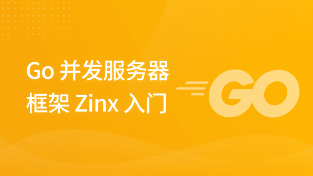 Go 并发服务器框架 Zinx 入门