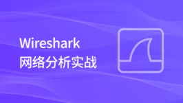 Wireshark 网络分析实战