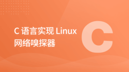 C 语言实现 Linux 网络嗅探器